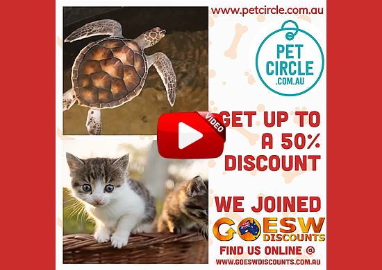 Double 8 Media Pty. Ltd. GO ESW Discounts Pet Circle Social Media Teaser Video 1