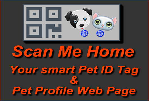 Double 8 Media Pty. Ltd. Scan Me Home Website Poster Image 3
